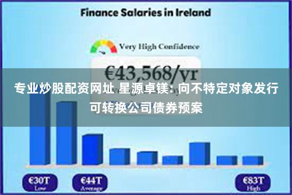 专业炒股配资网址 星源卓镁: 向不特定对象发行可转换公司债券预案