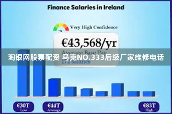 淘银网股票配资 马克NO.333后级厂家维修电话