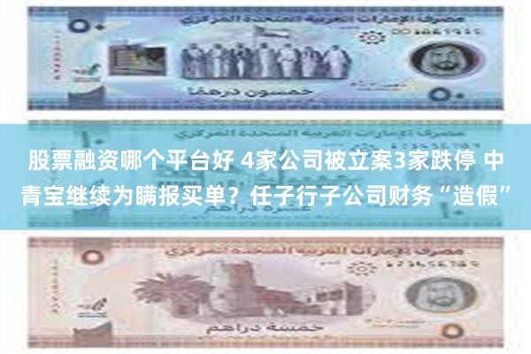 股票融资哪个平台好 4家公司被立案3家跌停 中青宝继续为瞒报买单？任子行子公司财务“造假”