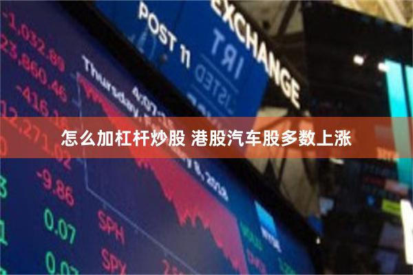 怎么加杠杆炒股 港股汽车股多数上涨