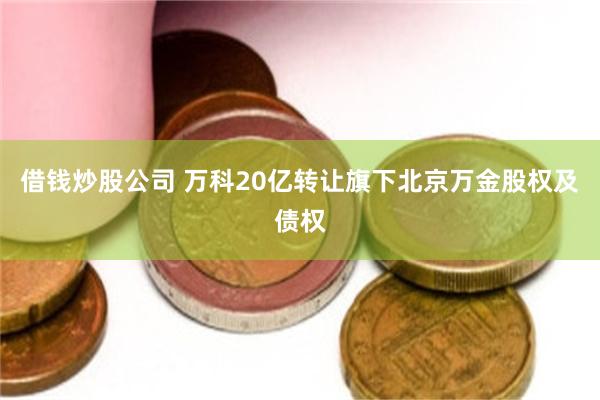 借钱炒股公司 万科20亿转让旗下北京万金股权及债权