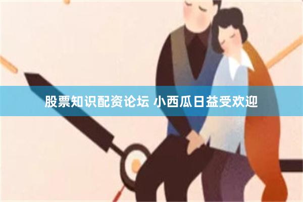 股票知识配资论坛 小西瓜日益受欢迎