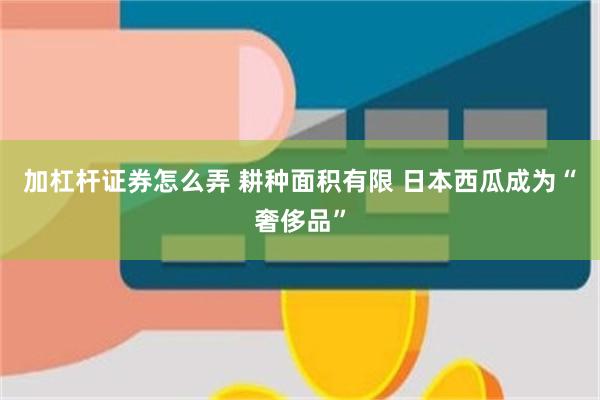 加杠杆证券怎么弄 耕种面积有限 日本西瓜成为“奢侈品”