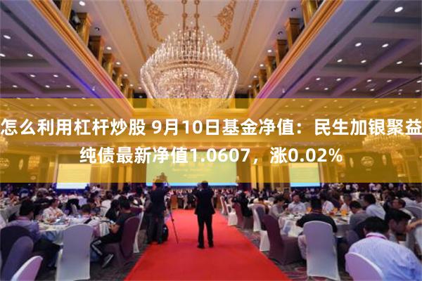 怎么利用杠杆炒股 9月10日基金净值：民生加银聚益纯债最新净值1.0607，涨0.02%