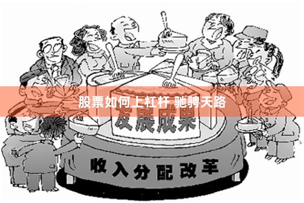 股票如何上杠杆 驰骋天路