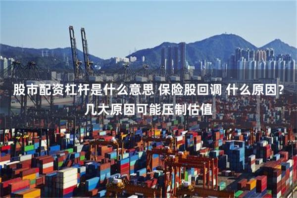 股市配资杠杆是什么意思 保险股回调 什么原因？几大原因可能压制估值