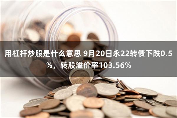 用杠杆炒股是什么意思 9月20日永22转债下跌0.5%，转股溢价率103.56%