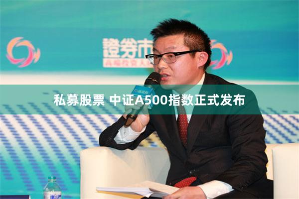 私募股票 中证A500指数正式发布