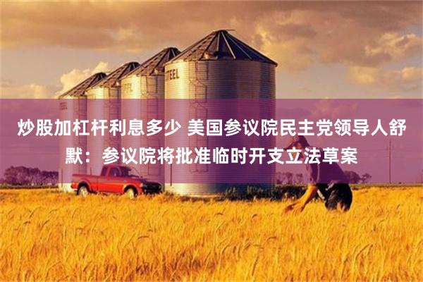 炒股加杠杆利息多少 美国参议院民主党领导人舒默：参议院将批准临时开支立法草案
