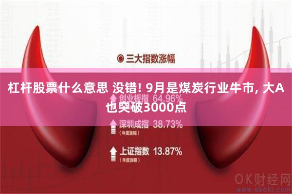 杠杆股票什么意思 没错! 9月是煤炭行业牛市, 大A也突破3000点