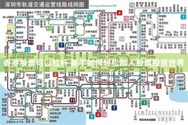 香港股票可以杠杆 新手如何轻松踏入股票投资世界