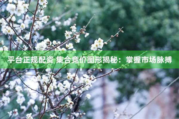 平台正规配资 集合竞价图形揭秘：掌握市场脉搏