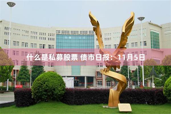 什么是私募股票 债市日报：11月5日