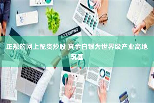 正规的网上配资炒股 真金白银为世界级产业高地筑基