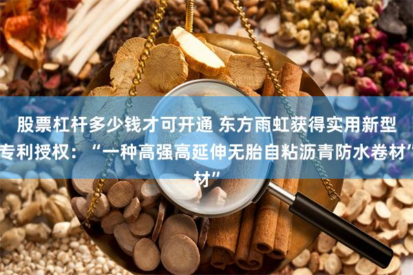 股票杠杆多少钱才可开通 东方雨虹获得实用新型专利授权：“一种高强高延伸无胎自粘沥青防水卷材”