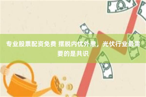 专业股票配资免费 摆脱内忧外患，光伏行业最需要的是共识