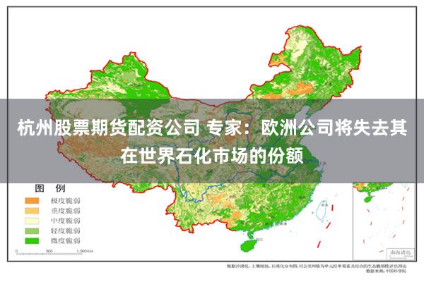 杭州股票期货配资公司 专家：欧洲公司将失去其在世界石化市场的份额