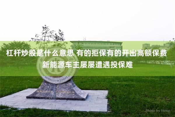 杠杆炒股是什么意思 有的拒保有的开出高额保费 新能源车主屡屡遭遇投保难