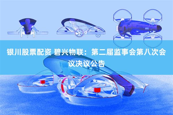 银川股票配资 碧兴物联：第二届监事会第八次会议决议公告