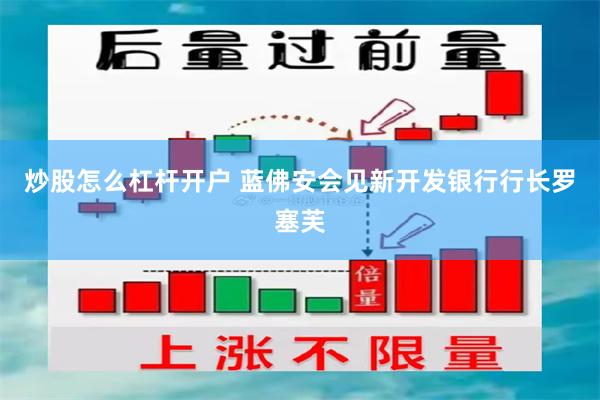 炒股怎么杠杆开户 蓝佛安会见新开发银行行长罗塞芙