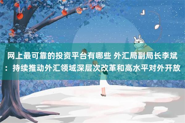 网上最可靠的投资平台有哪些 外汇局副局长李斌：持续推动外汇领域深层次改革和高水平对外开放