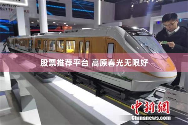 股票推荐平台 高原春光无限好