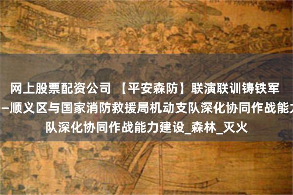 网上股票配资公司 【平安森防】联演联训铸铁军 实战砺剑护青山——顺义区与国家消防救援局机动支队深化协同作战能力建设_森林_灭火