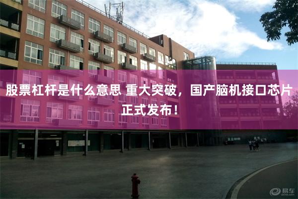 股票杠杆是什么意思 重大突破，国产脑机接口芯片正式发布！