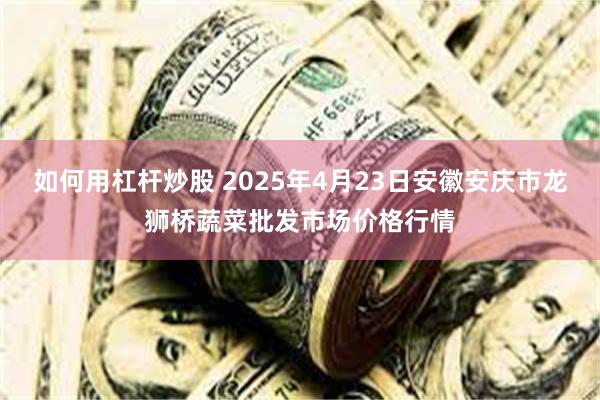 如何用杠杆炒股 2025年4月23日安徽安庆市龙狮桥蔬菜批发市场价格行情
