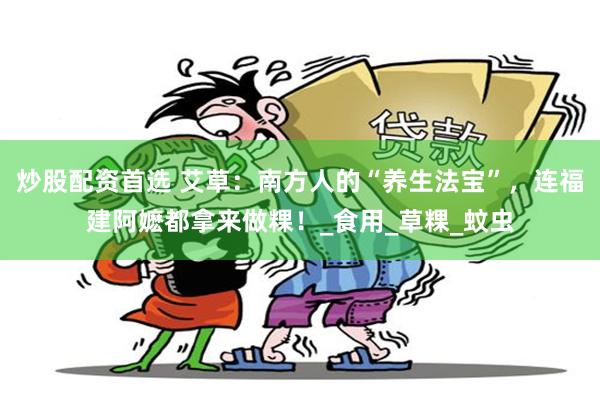 炒股配资首选 艾草：南方人的“养生法宝”，连福建阿嬷都拿来做粿！_食用_草粿_蚊虫