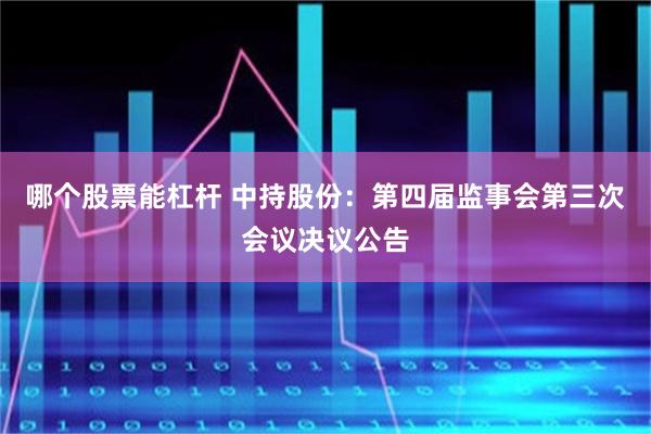 哪个股票能杠杆 中持股份：第四届监事会第三次会议决议公告