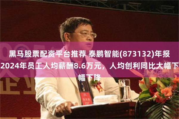 黑马股票配资平台推荐 泰鹏智能(873132)年报：2024年员工人均薪酬8.6万元，人均创利同比大幅下降