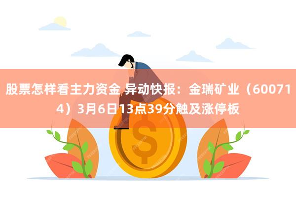 股票怎样看主力资金 异动快报：金瑞矿业（600714）3月6日13点39分触及涨停板