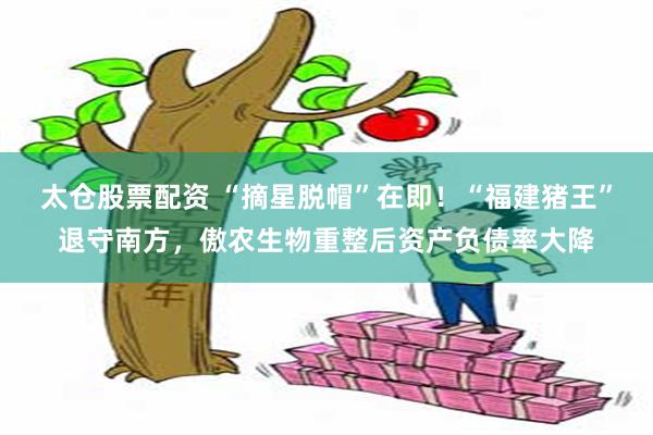 太仓股票配资 “摘星脱帽”在即！“福建猪王”退守南方，傲农生物重整后资产负债率大降