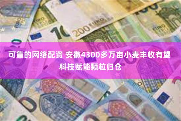 可靠的网络配资 安徽4300多万亩小麦丰收有望 科技赋能颗粒归仓