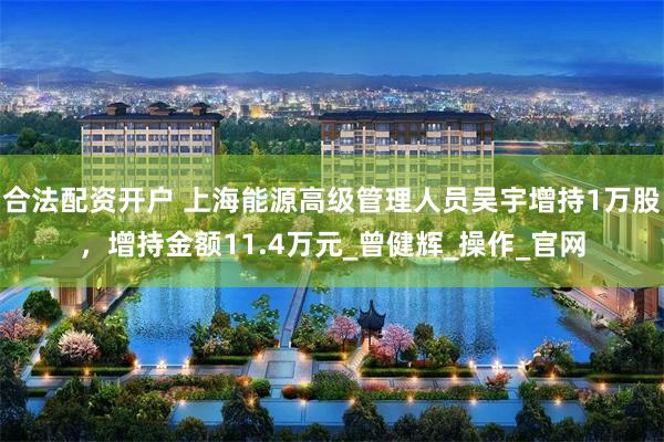 合法配资开户 上海能源高级管理人员吴宇增持1万股，增持金额11.4万元_曾健辉_操作_官网