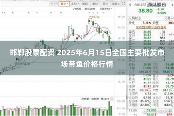 邯郸股票配资 2025年6月15日全国主要批发市场带鱼价格行情