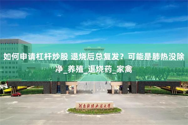 如何申请杠杆炒股 退烧后总复发？可能是肺热没除净_养殖_退烧药_家禽