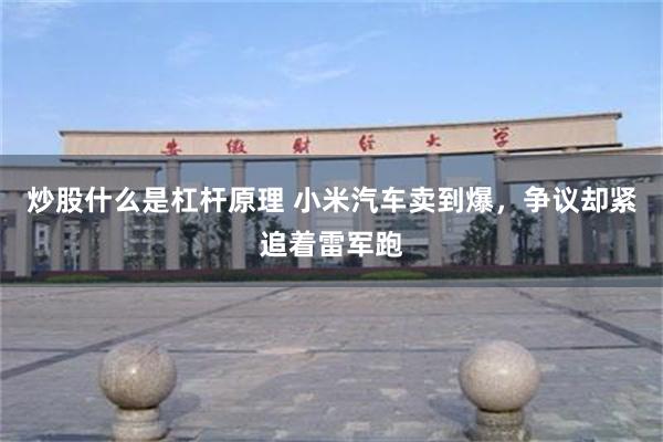 炒股什么是杠杆原理 小米汽车卖到爆，争议却紧追着雷军跑