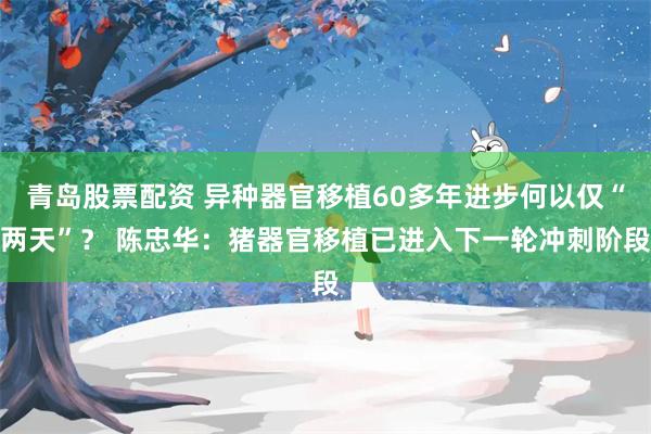 青岛股票配资 异种器官移植60多年进步何以仅“两天”？ 陈忠华：猪器官移植已进入下一轮冲刺阶段